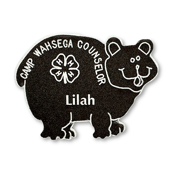 Camp Wahsega Counselor