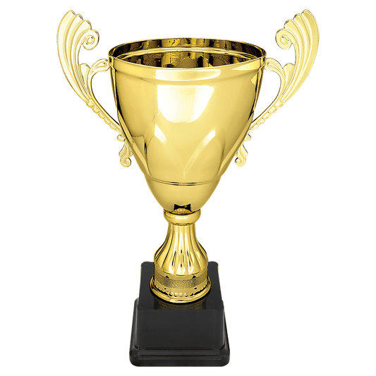 Metal Cup