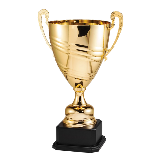 Large Cup