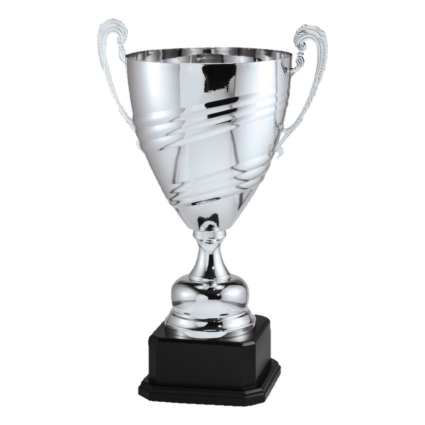 Large Cup
