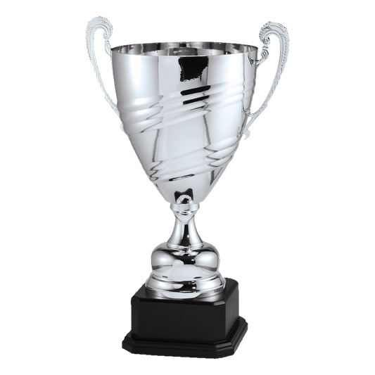 Large Cup