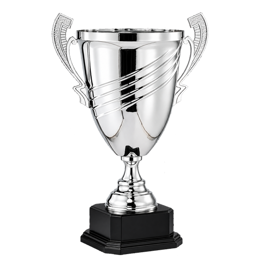 Large Cup