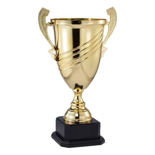 Large Cup