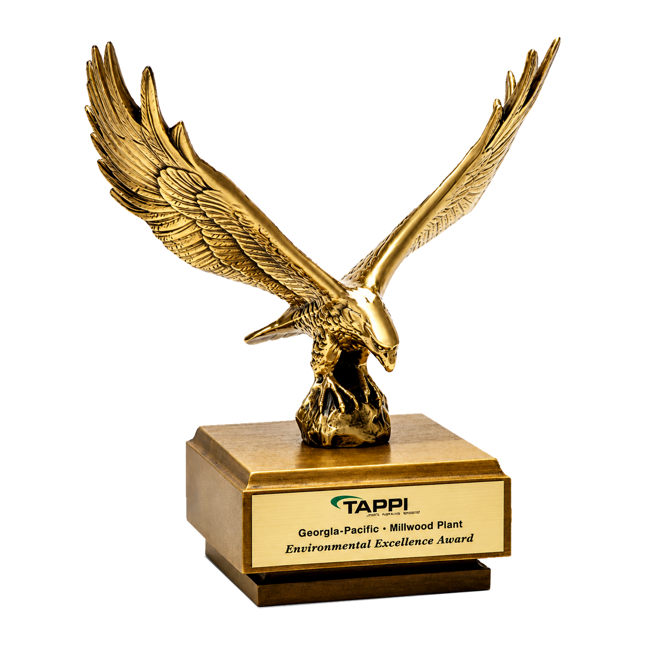 Solid Metal Eagle