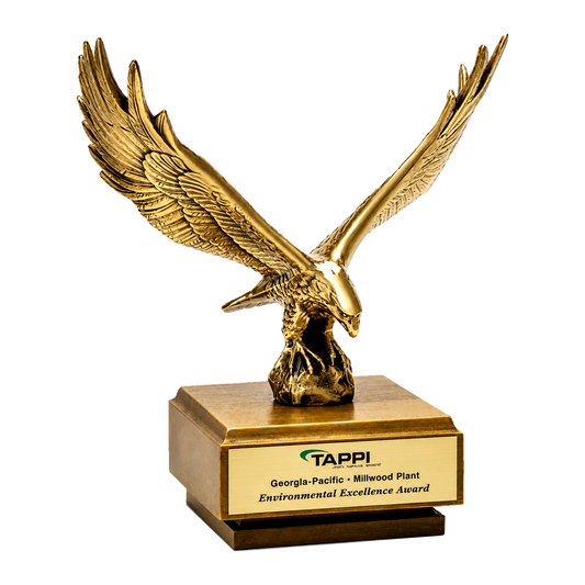 Solid Metal Eagle