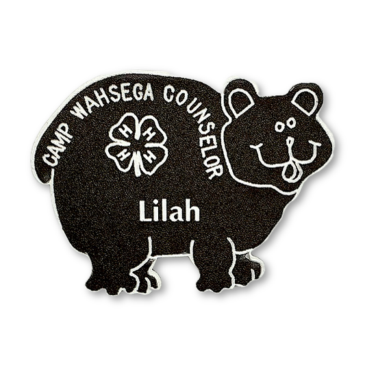 Camp Wahsega Counselor